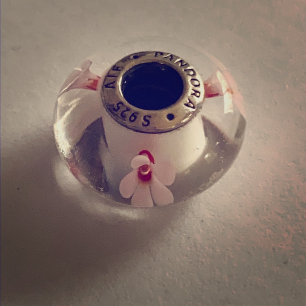 Pandora glass charms